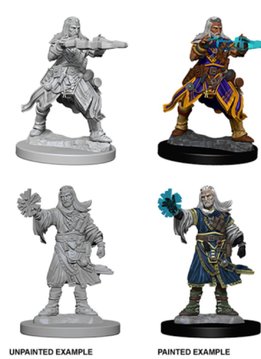 PF Unpainted Minis - Male Human Wizard