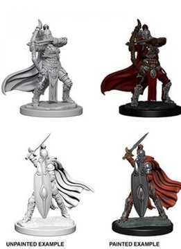 PF Unpainted Minis - Female Knights/Grey Maiden