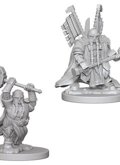 D&D Unpainted Minis: Dwarf Male Paladin