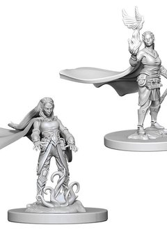 Elf Female Druid D&D NMM: Wave 4