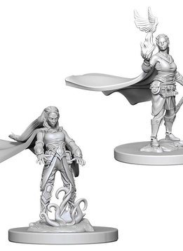 Elf Female Druid D&D NMM: Wave 4