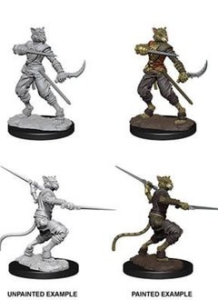 D&D Nolzur's Marvelous Unpainted Miniatures: Wave 7: Male Tabaxi Rogue