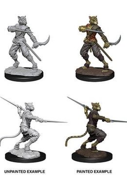 D&D Nolzur's Marvelous Unpainted Miniatures: Wave 7: Male Tabaxi Rogue