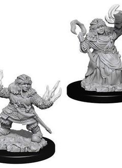 Female Dwarf Summoner PF Unpainted Mini