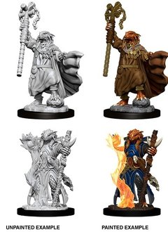 D&D Nolzur's Marvelous Unpainted Miniatures: Wave 8: Dragonborn Female Sorcerer