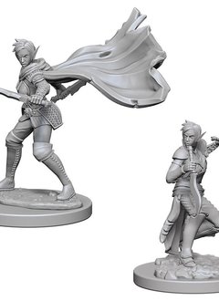 PF Unpainted Minis: Elf Female Rogue