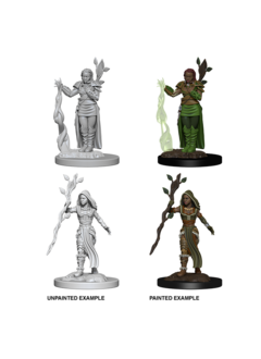 D&D Unpainted Minis: Human Female Druid