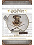 Harry Potter Hogwarts Battle - Defense Against the Dark Arts (EN)