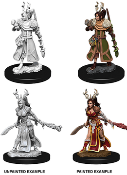 D&D Nolzur's Marvelous Unpainted Miniatures: Wave 9: Human Female Druid
