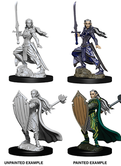 DND Unpainted Mini WV9: Female Elf Paladin