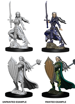 DND Unpainted Mini WV9: Female Elf Paladin