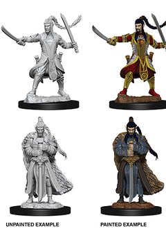 D&D Unpainted: Elf Male Paladin (Wave 9)
