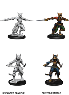D&D Nolzur's Marvelous Unpainted Miniatures: Wave 9: Female Tabaxi Rogue