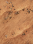 Star Wars: Legion - Jakku Game Mat