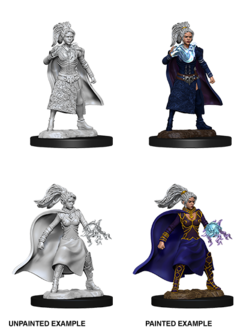 D&D Unpainted Minis: Human Female Sorcerer