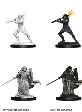 D&D Unpainted Minis: Human Female Paladin