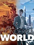 It's a Wonderful World (FR)