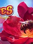 Bees : The Secret Kingdom