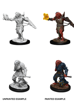 D&D NMM Unpainted: Wave 11: Male Dragonborn Paladin