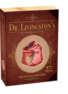 Human Abdomen - Dr. Livingston's Anatomy Puzzle (577 pc)