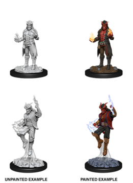 Male Tiefling Sorcerer - D&D Unpainted Minis (WV12)