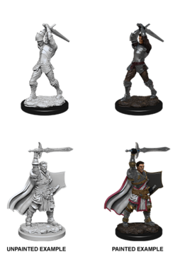 D&D NMM Unpainted: Wave 12: Male Human Paladin