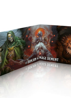 Donjons & Dragons: Ecran: Waterdeep Le Donjon Du Mage Dement (FR)
