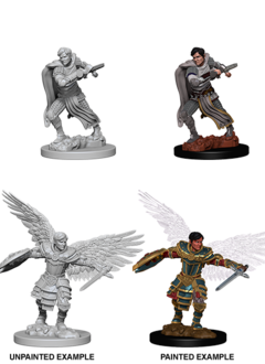 D&D Nolzur's Marvelous Unpainted Miniatures: Wave 6: Aasimar Male Fighter