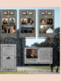 Captured Moments: A Downtown Abbey Card Game