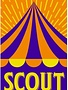 Scout (ML)