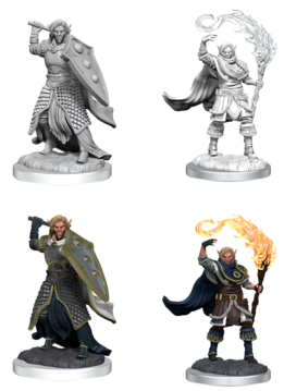 D&D NMM: Wave 16: Elf Cleric Male