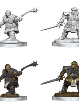 Dnd Nolzur's Unpainted Mini Wave 16: Dwarf Fighter Female