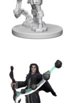 PF Unpainted Minis: Wave 1: Elf Male Sorcerer