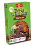 Défis Nature:  Rapace