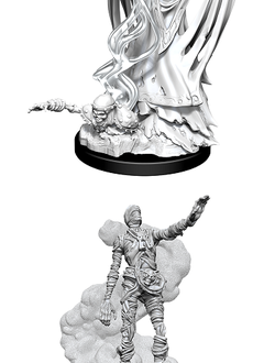 D&D Unpainted Minis WV11 Lich And Mummy Lord