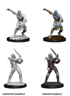D&D UNPAINTED MINIS WV11 WIGHT AND GHAST
