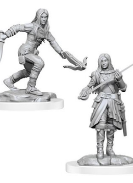 D&D Nolzur's Marvelous Unpainted Miniatures: Wave 17: Half-Elf Rogue Female