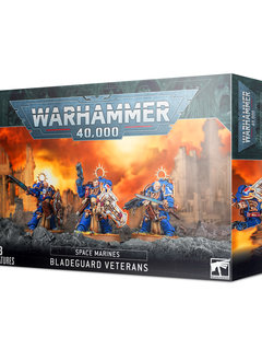 Space Marines: Bladeguard Veterans