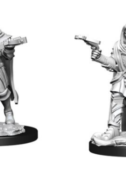 Pathfinder Deep Cuts Unpainted Miniatures: Wave 13: Human Rogue Male