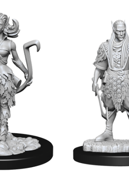 D&D Unpainted: Autumn Eldarin & Summer Eldarin (WV15)