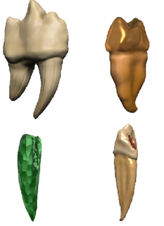 DnD Miniatures: Teeth of Dahlver-Nar Bite-Sized Artifacts