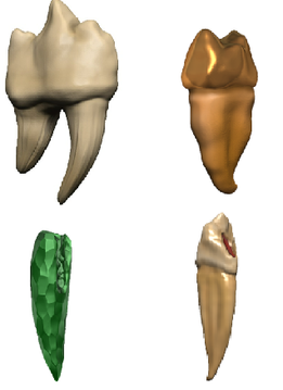 DnD Miniatures: Teeth of Dahlver-Nar Bite-Sized Artifacts