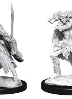 D&D Unpainted: Winter Eldarin & Spring Eladrin (WV15)