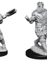 D&D Nolzur's Marvelous Unpainted Miniatures: Wave 14: Human Barbarian Male