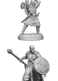 D&D Nolzur's Marvelous Unpainted Miniatures: Wave 13: Human Barbarian Male
