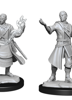 D&D Nolzur's Marvelous Unpainted Miniatures: Wave 14: Half-Elf Wizard Male