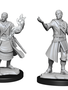 D&D Nolzur's Marvelous Unpainted Miniatures: Wave 14: Half-Elf Wizard Male