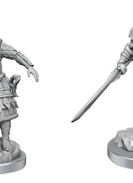 D&D Unpainted Mini: Wave 21 Human Fighter