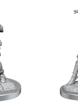 D&D Unpainted Mini: Wave 21 Half-Elf Monk Female