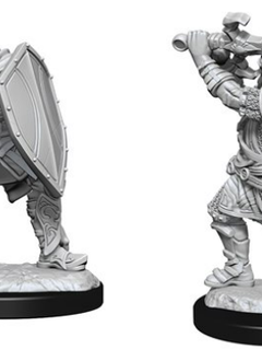 D&D Nolzur's Marvelous Unpainted Miniatures: Wave 14: Human Paladin Male